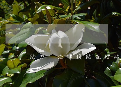 助力 法律援助在行动 助力 法律援助在行动